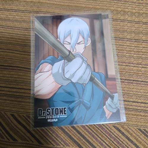 Stone hyoga bromide - dr.,
